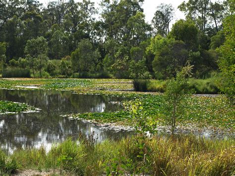 w4m browns plains|Os melhores pontos turísticos em Browns Plains, Austrália